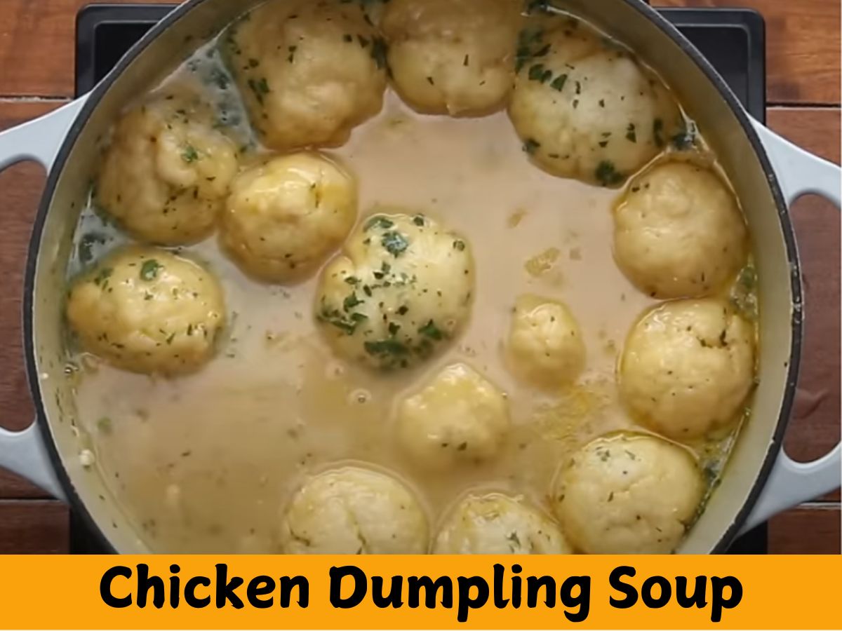 Chicken Dumpling Soup Recipe