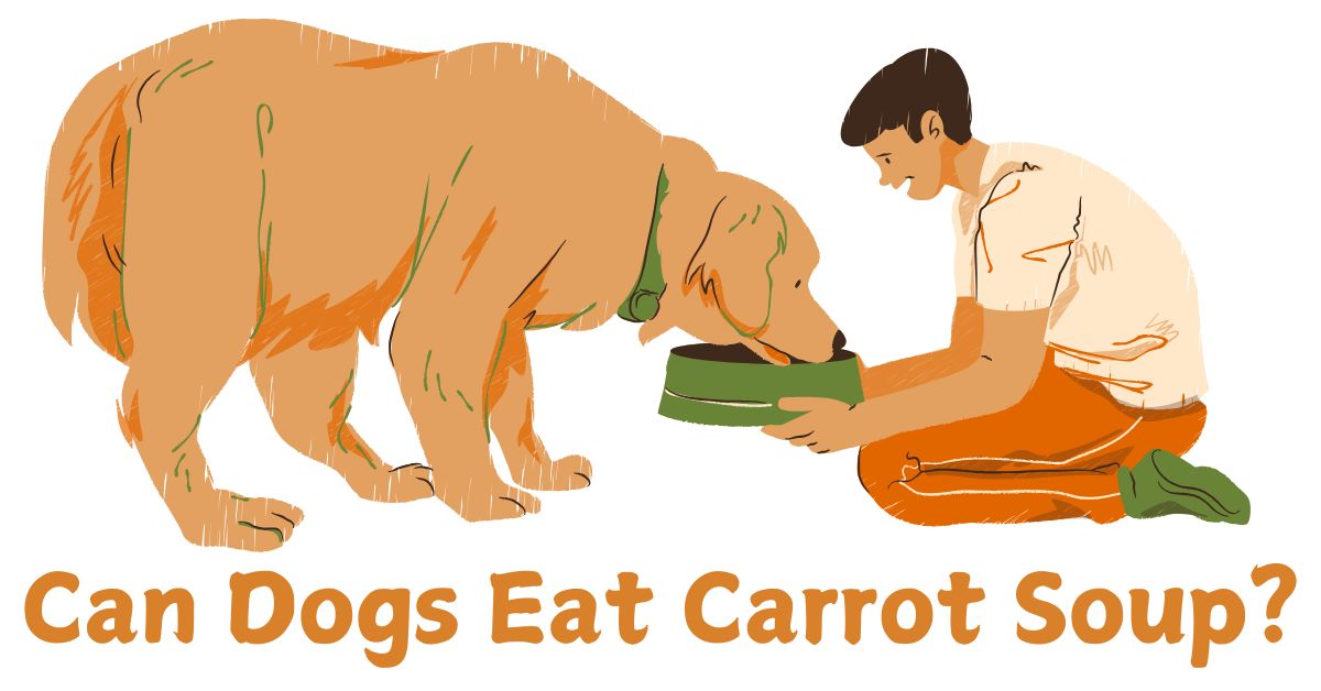 Can Dogs Eat Carrot Soup?